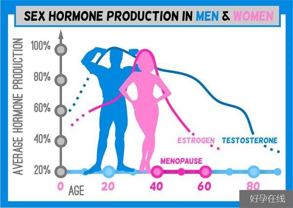 男性与女性生育能力曲线图