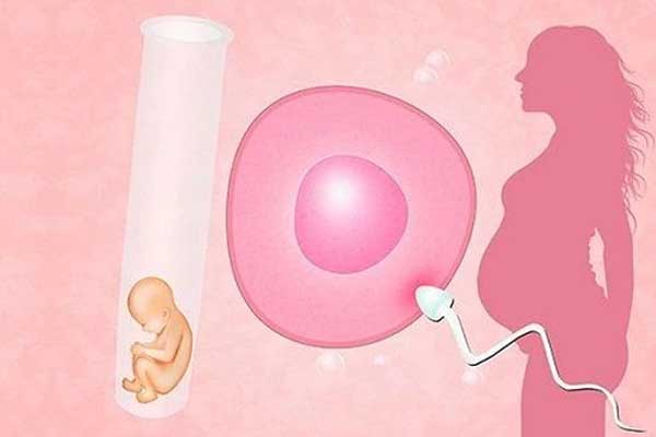 中国第一例供胚试管婴儿