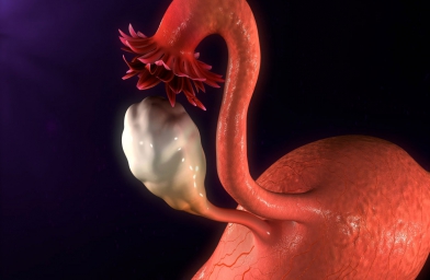 天津干细胞治疗卵巢早衰，患者顺利分娩健康宝宝