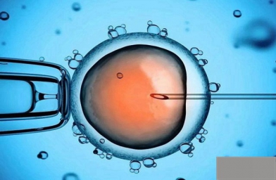 天津进行试管婴儿促排卵手术获得的卵子数量少是因为什么？快注意下吧