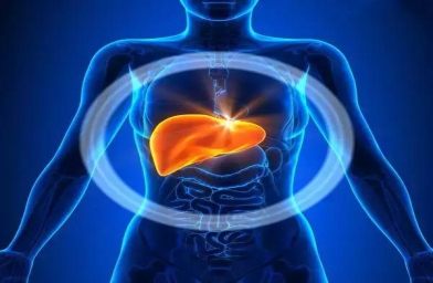 天津干细胞治疗肝硬化及生活饮食